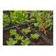 Gardena Micro-Drip-System Reihentropfer druckausgleichend 2 l/h - Inhalt: 10 Reihentropfer, 1 Verschlusskappe