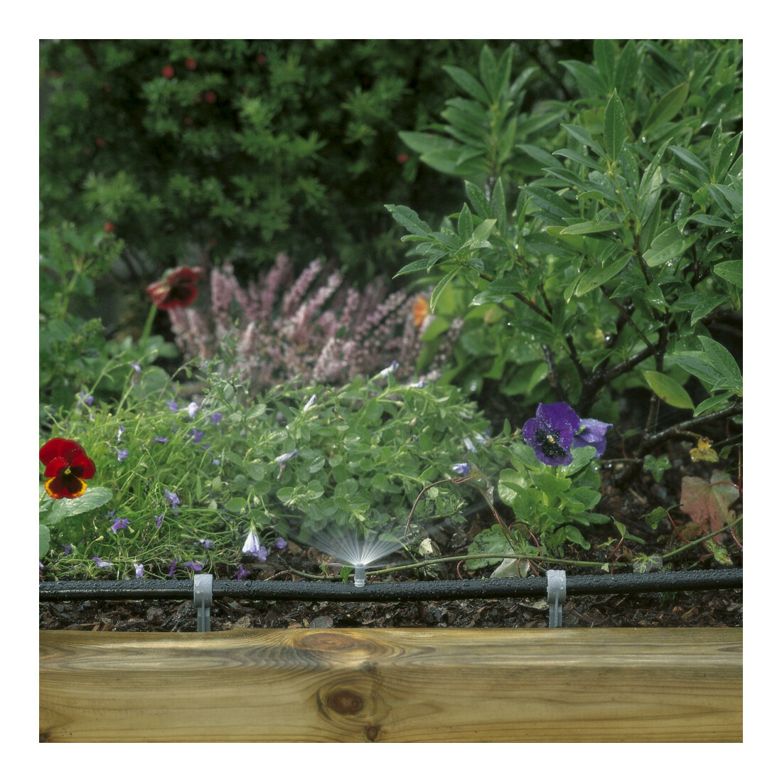 GARDENA Micro-Drip-System Sprühdüse, 180° - Inhalt: 5 Stück