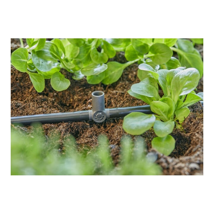 Gardena Micro-Drip-System T-Stück für Sprühdüsen/Endtropfer 4,6 mm (3/16") - Inhalt: 5 T-Stücke, 1 Verschlusskappe