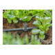 Gardena Micro-Drip-System T-Stück für Sprühdüsen/Endtropfer 4,6 mm (3/16") - Inhalt: 5 T-Stücke, 1 Verschlusskappe