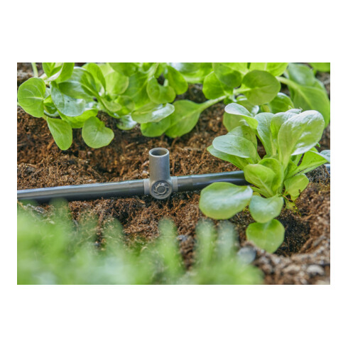Gardena Micro-Drip-System T-Stück für Sprühdüsen/Endtropfer 4,6 mm (3/16") - Inhalt: 5 T-Stücke, 1 Verschlusskappe