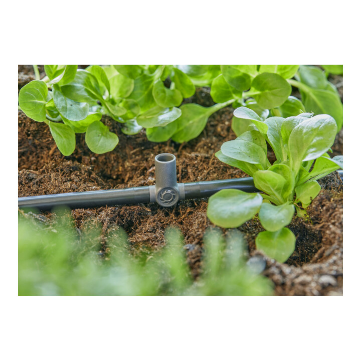 Gardena Micro-Drip-System T-Stück für Sprühdüsen/Endtropfer 4,6 mm (3/16") - Inhalt: 5 T-Stücke, 1 Verschlusskappe