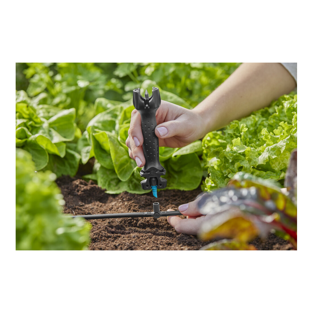 Gardena Micro-Drip-System T-Stück für Sprühdüsen/Endtropfer 4,6 mm (3/16") - Inhalt: 5 T-Stücke, 1 Verschlusskappe