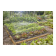 Gardena Micro-Drip-System Tropfbewässerung Set Gemüse-/Blumenbeet (60 m²)