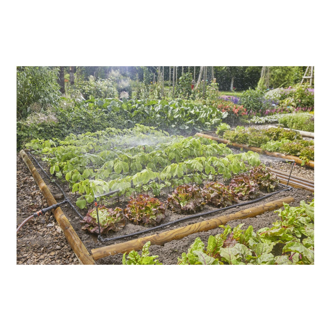 Gardena Micro-Drip-System Tropfbewässerung Set Gemüse-/Blumenbeet (60 m²)