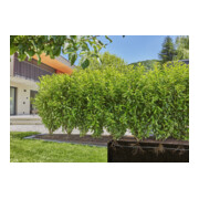 Gardena Micro-Drip-System Tropfbewässerung Set Hecke/Sträucher (25 m)-2