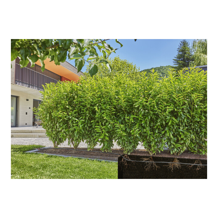 Gardena Micro-Drip-System Tropfbewässerung Set Hecke/Sträucher (25 m)