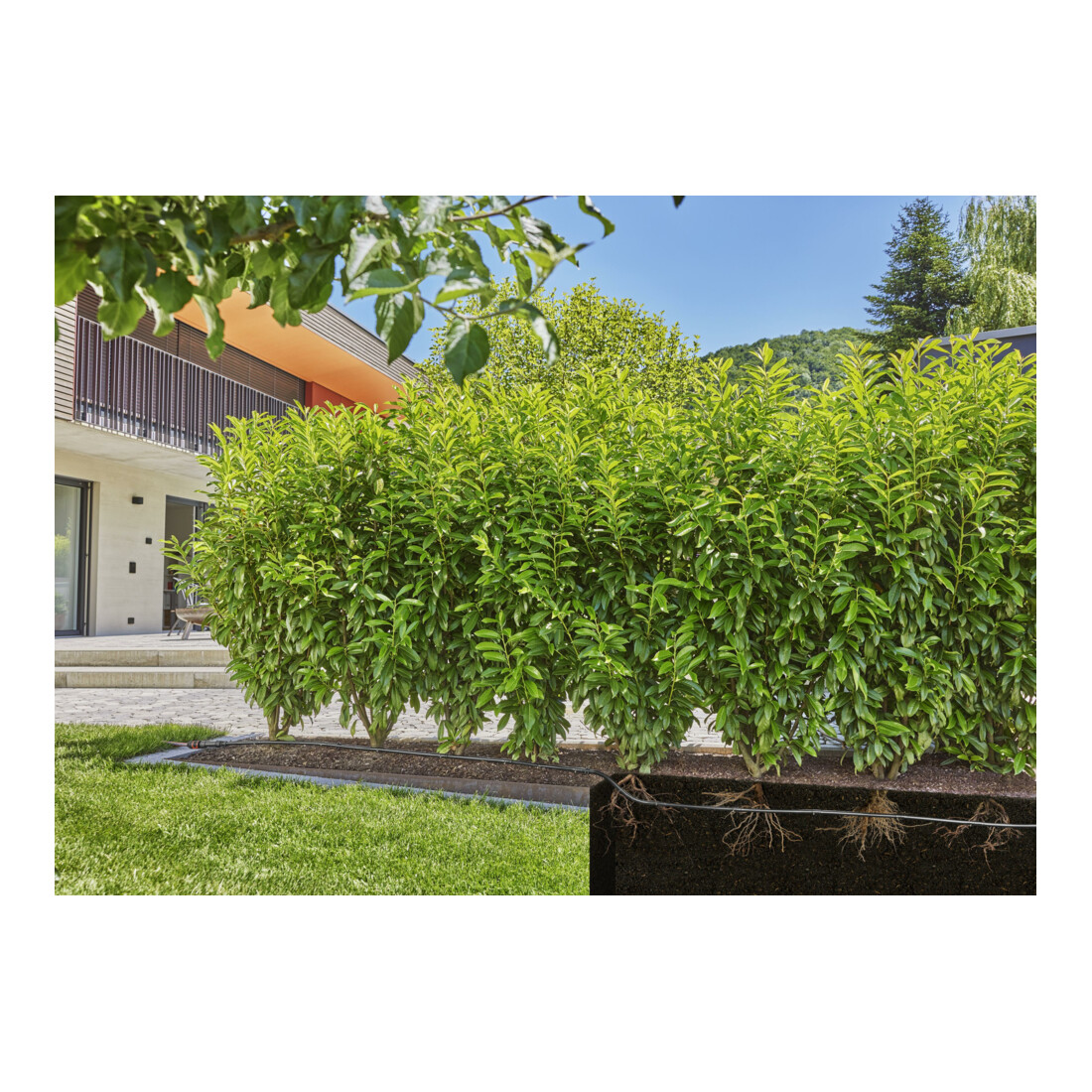 Gardena Micro-Drip-System Tropfbewässerung Set Hecke/Sträucher (25 m)