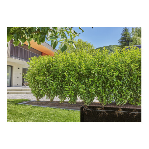 Gardena Micro-Drip-System Tropfbewässerung Set Hecke/Sträucher (25 m)