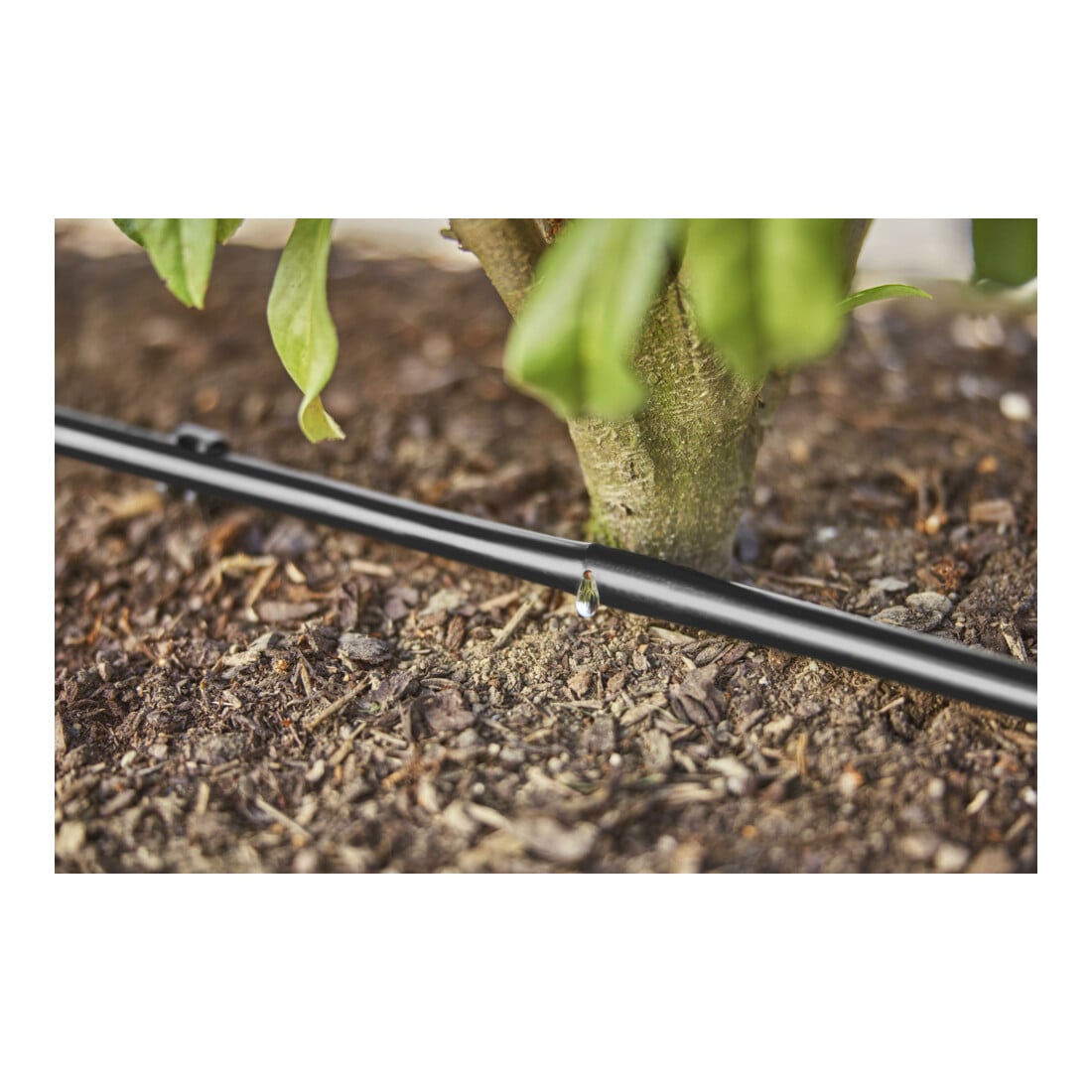 Gardena Micro-Drip-System Tropfbewässerung Set Hecke/Sträucher (50 m)