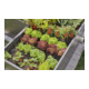 Gardena Micro-Drip-System Tropfbewässerung Set Hochbeet/Beet (35 Pflanzen)-2