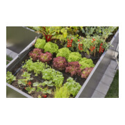 Gardena Micro-Drip-System Tropfbewässerung Set Hochbeet/Beet (35 Pflanzen)-2