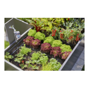 Gardena Micro-Drip-System Tropfbewässerung Set Hochbeet/Beet (35 Pflanzen)-4