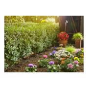 GARDENA Micro-Drip-System Tropfrohr oberirdisch 4,6 mm (3/16"), 1,5 l/h, 15 m, ohne Armaturen-5