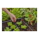 Gardena Micro-Drip-System Verbinder 13 mm (1/2") - 4,6 mm (3/16")-2