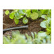 Gardena Micro-Drip-System Verschlussstopfen 4,6 mm (3/16")-4