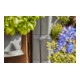 GARDENA NatureUp ! Kit d'arrosage coin robinet-2