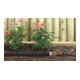 GARDENA Perl-Regner, 7,5 m-5
