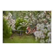 Gardena Rejet goutte à goutte compensateur de pression 2 l/h Contenu : 10 pièces