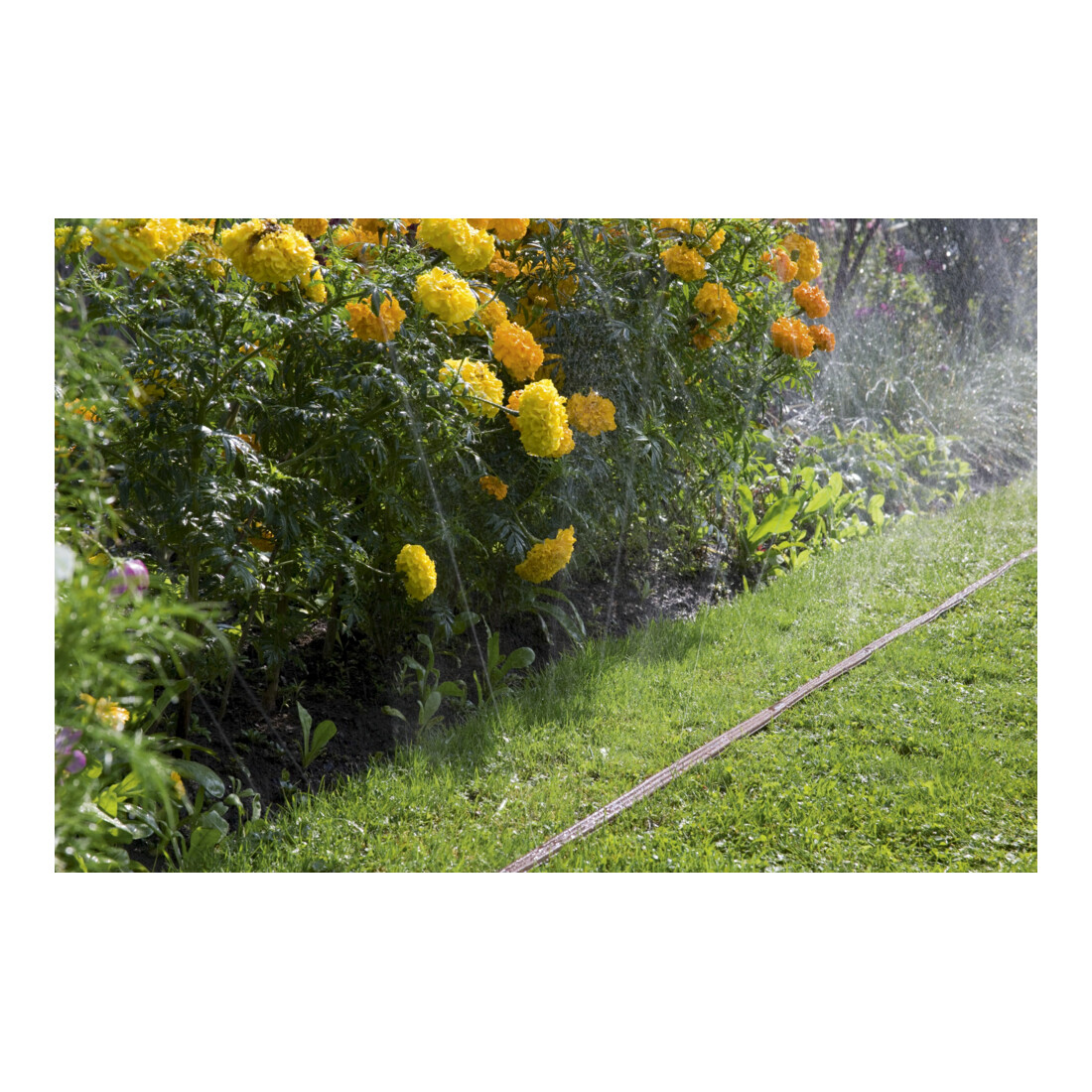 GARDENA Schlauch-Regner, braun, Länge 15 m