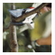 Gardena Sécateur de jardin alu B+/L-4