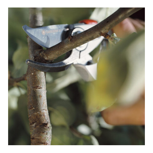 Gardena Sécateur de jardin alu B+/L