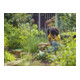 Gardena Sécateur ExpertCut Aktion-1