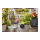 Gardena Solar-Bewässerung aquaBloom Set 13300-20-5