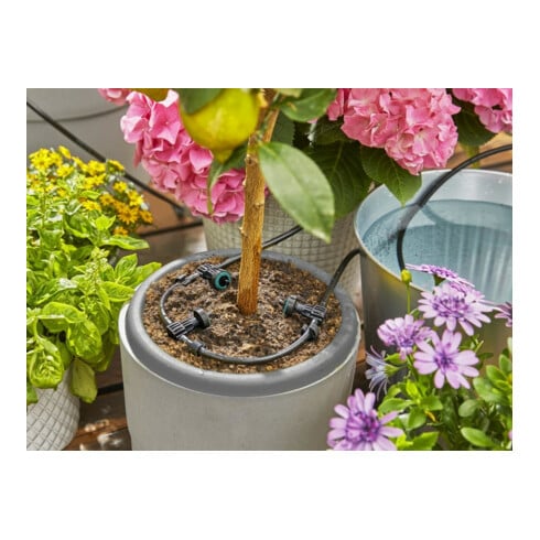 Gardena Solar-Bewässerung aquaBloom Set 13300-20
