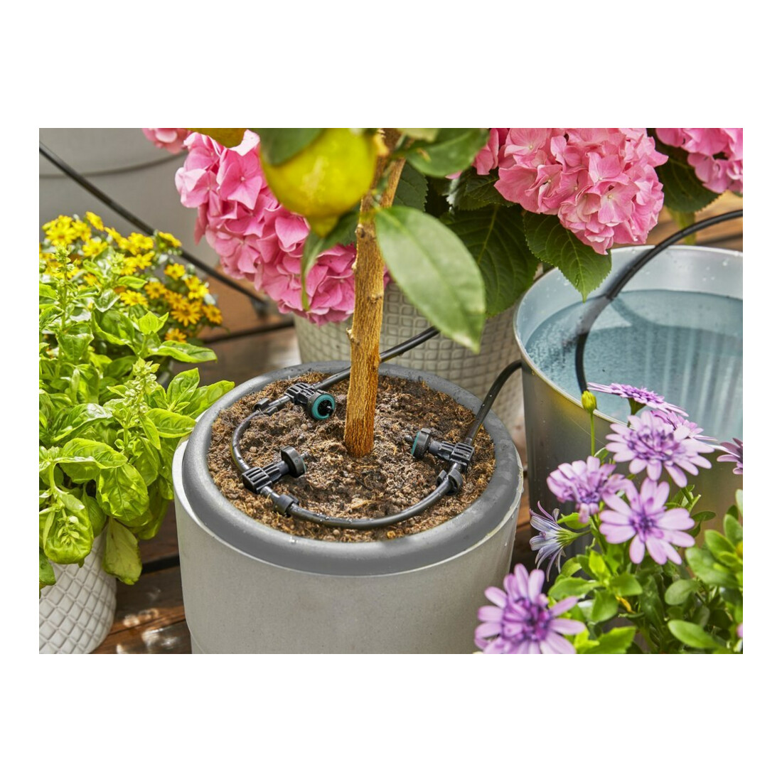 Gardena Solar-Bewässerung aquaBloom Set 13300-20