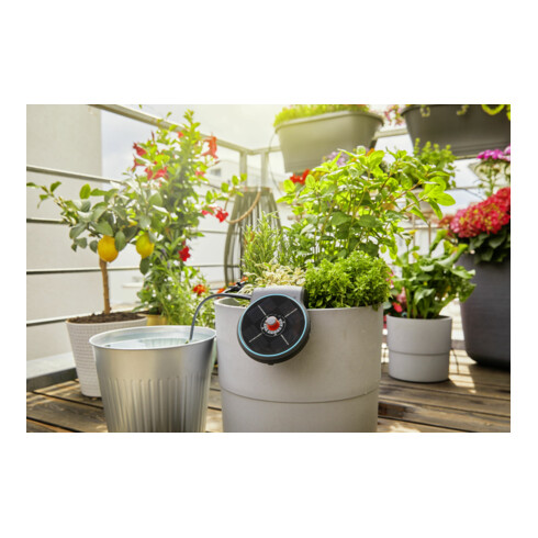 GARDENA Solar-Bewässerung AquaBloom Set