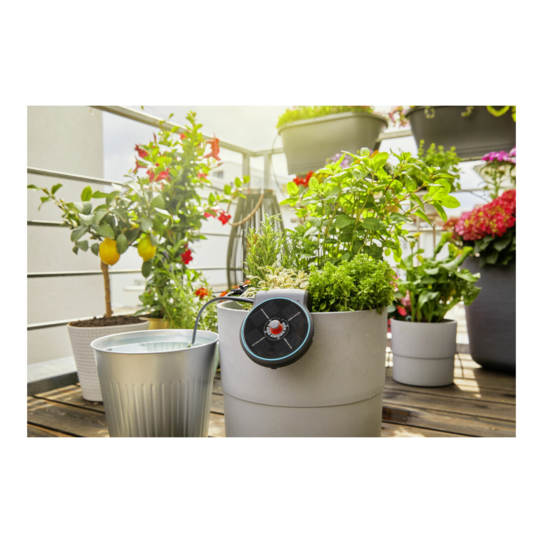 GARDENA Solar-Bewässerung AquaBloom Set