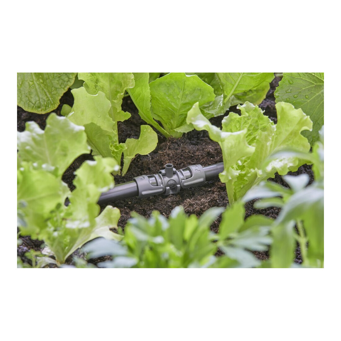 Gardena T-Stück für Sprühdüsen 13 mm (1/2") MDS Inhalt: 5 Stück