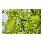 Gardena Taille-branches télescopique sans fil HighCut 250/18V P4A prêt à l'emploi-4