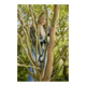 Gardena Taille-haies sans fil EasyCut 110/18V P4A solo-4