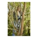 Gardena Taille-haies sans fil EasyCut 110/18V P4A solo