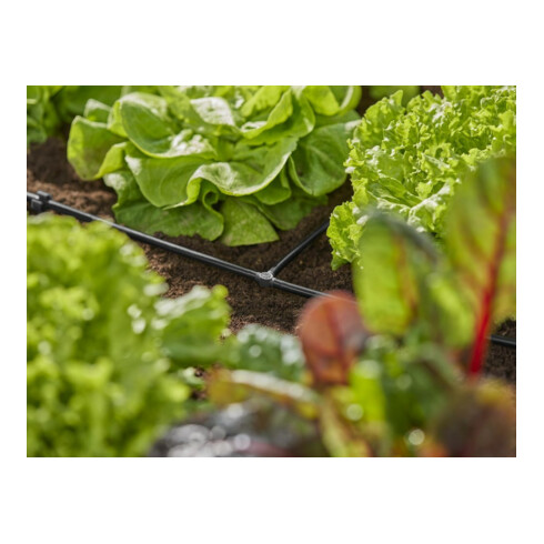 Gardena Té 4,6 mm (3/16") Contenu : 10 pièces MDS