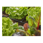 Gardena Té 4,6 mm (3/16") Contenu : 10 pièces MDS