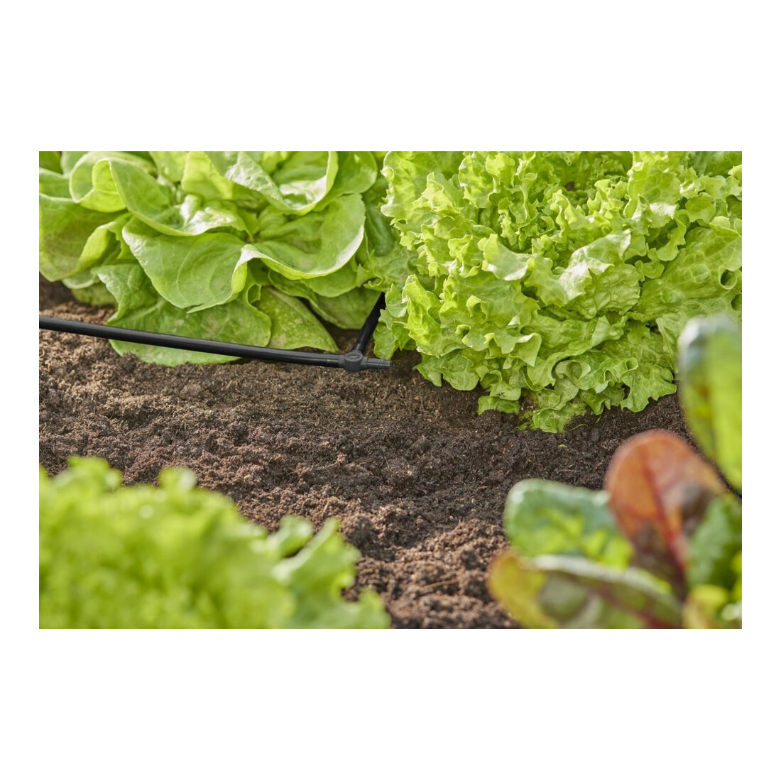 Gardena Té 4,6 mm (3/16") Contenu : 10 pièces MDS