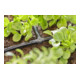 Gardena Té 4,6 mm (3/16") Contenu : 10 pièces MDS-4