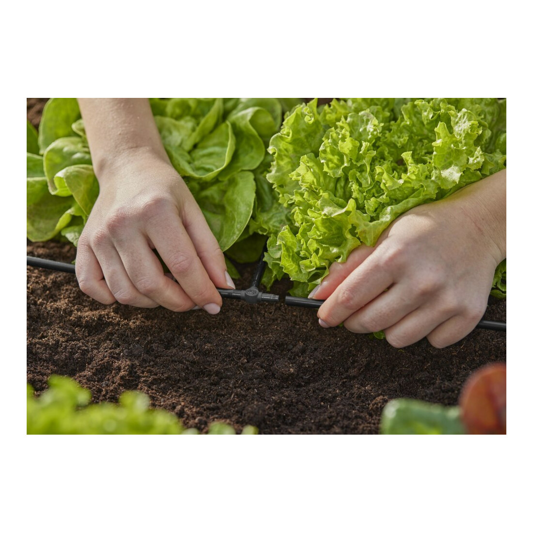 Gardena Té 4,6 mm (3/16") Contenu : 10 pièces MDS