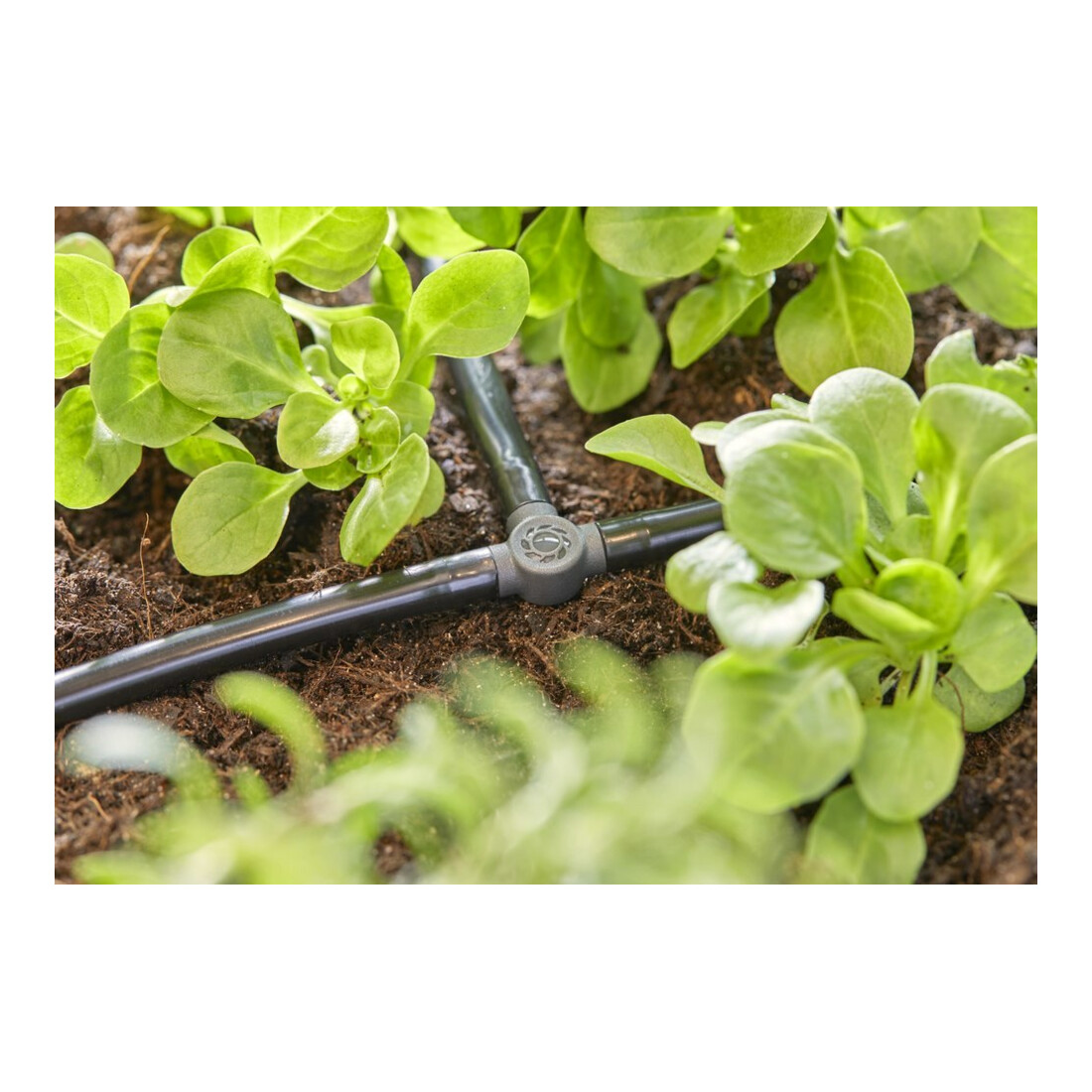 Gardena Té 4,6 mm (3/16") Contenu : 10 pièces MDS
