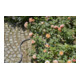 GARDENA Textilschlauch Liano 20 m Set-5