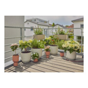 Gardena Tropfbewässerung-Set Balkon (15 Pflanzen)-5