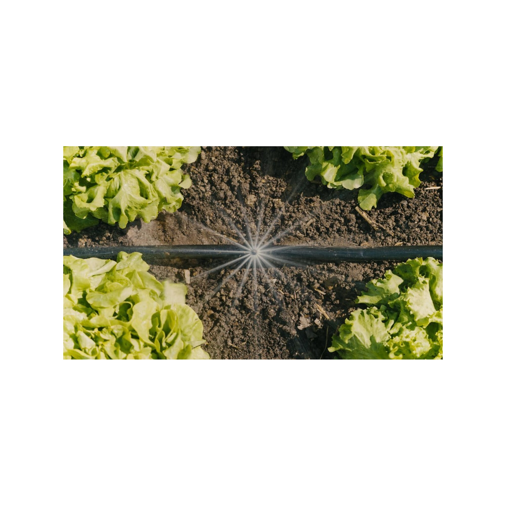 Gardena Tropfbewässerung-Set Gemüse-/Blumenbeet 60 m²