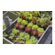 Gardena Tropfbewässerung-Set Hochbeet/Beet 35 Pflanzen