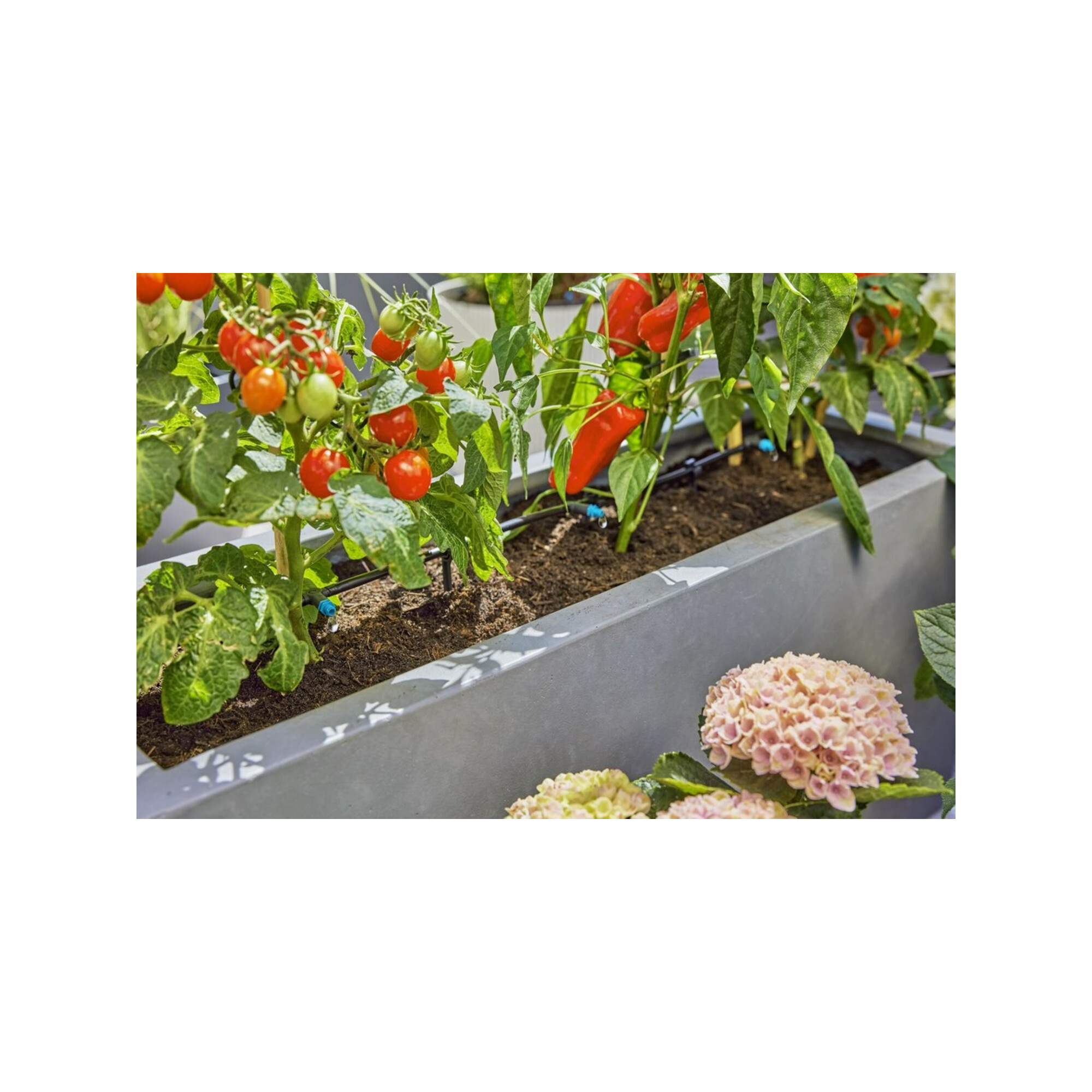 Gardena Tropfbewässerung-Set Terrasse (30 Pflanzen) Inhalt: 1 Stück