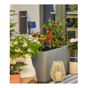 Gardena Tropfbewässerung-Set Terrasse (30 Pflanzen) Inhalt: 1 Stück-4