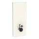 Geberit Module WC mural Monolith H 114 cm, verre satiné gris sable, face alu-1