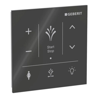Geberit Panneau de commande mural AquaClean Sela pour montage apparent, surface verre/noir